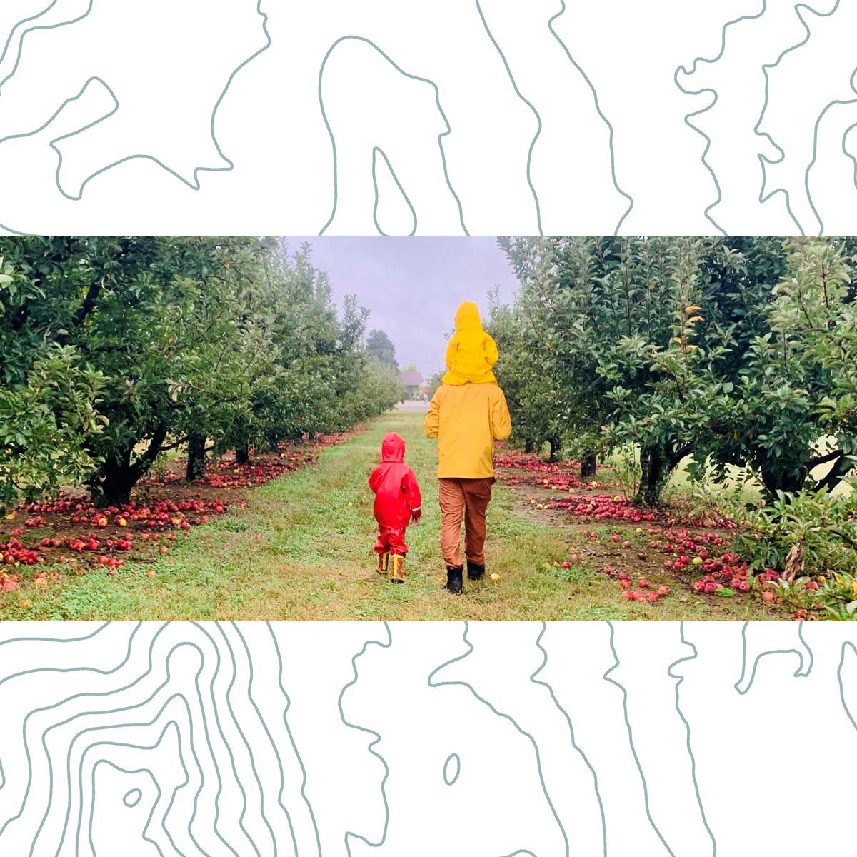 Family Apple Picking by Zenovia Stephens