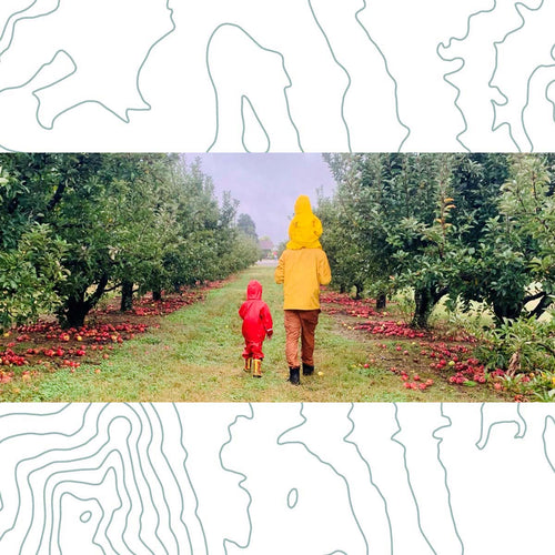 Family Apple Picking by Zenovia Stephens