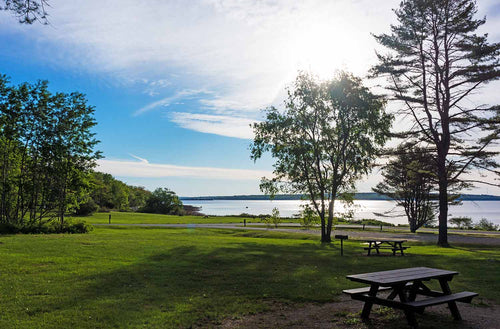 Park setting near the ocean in the early morning with picnic tables, trees and mowed grass on the coast